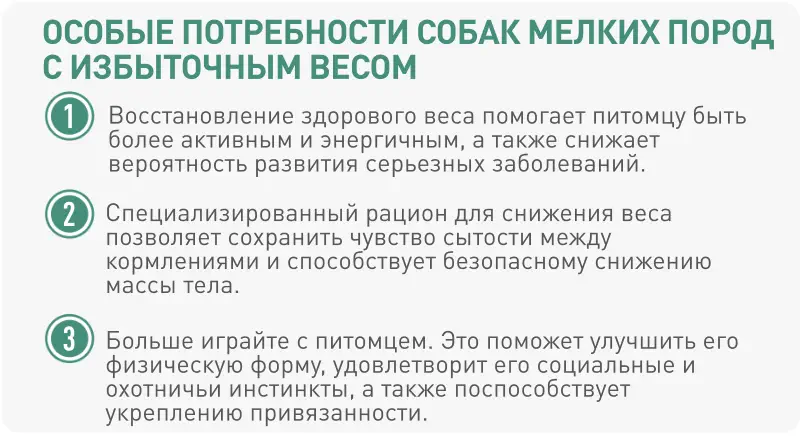 1 2 3 Восстановление здорового веса помогает питомцу быть более активным и энергичным, а также снижает вероятность развития серьезных заболеваний. Специализированный рацион для снижения веса позволяет сохранить чувство сытости между кормлениями и способствует безопасному снижению массы тела. Больше играйте с питомцем. Это поможет улучшить его физическую форму, удовлетворит его социальные и охотничьи инстинкты, а также поспособствует укреплению привязанности. *Sources: Only for dogs, FACCO SOFRES 2010  ОСОБЫЕ ПОТРЕБНОСТИ СОБАК МЕЛКИХ ПОРОД  С ИЗБЫТОЧНЫМ ВЕСОМ