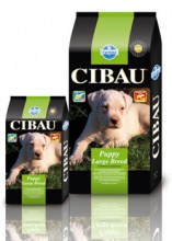 Cibau_Puppy_Larg_53479635d8d02.jpg