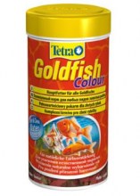 Tetra_Goldfish_C_4f7b469509469.jpg