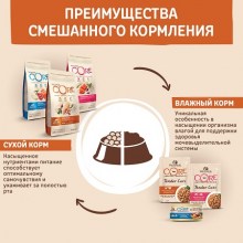 core_smeshenie8
