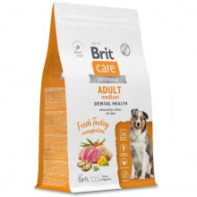 dog_adult_m_dental_health_016