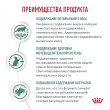 dog_satiety_weight_management_small_dogs_4