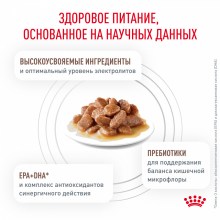 gastrointestinal_4