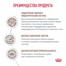 gastrointestinal_5