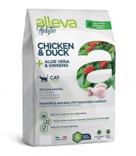 holistic_cat_chicken