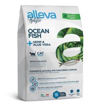 holistic_cat_fish