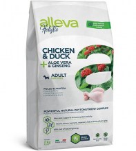 holistic_dog_chicken_adult_mini