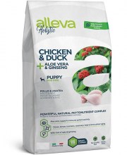 holistic_dog_chicken_puppy_mini